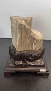 TSK Crystal SHY019 天然树化玉 黄里透白 色泽圆润 特制雕刻实木底座 Natural Tree Fossil Jade