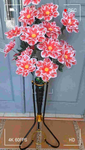 Bunga Sudut Ruangan & Pot Standing Corong Besi: Mengenal Bunga Mangolia Interior