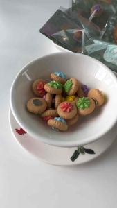 3D Fridge Magnet Unique Colourful Icing Gem Biscuit New Design (Limited Edition)