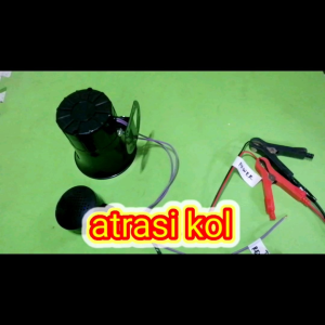 backhorn atrasi kolayaw koltintintanmarites 12v 24v