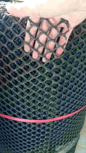 Lưới nhựa dẻo mắt cáo cao 50cm hoặc 1m dùng để làm chuồng trại chăn nuôi...