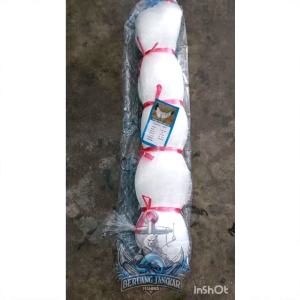 Jaring Ikan / Jaring Senar 2inci 0.28mm 100md 100yds tate