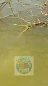 Pelampung Pancing Stoper Oval: Panduan Lengkap