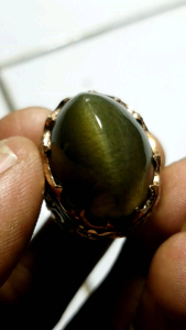 COD CINCIN pandan lumut cingcau l