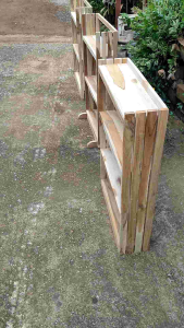 ชั้นวางโหลปลากัดโมเดิล