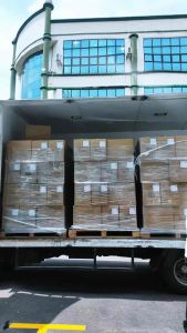 Grain & Gain Mixed Multigrains Drink with Cocoa and Plant Protein Blend