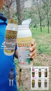 หมอยาง บำรุงต้นยางพารา หมอยาง คือ หมอยางคือ - Lazada