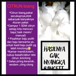 BIANG CITRUN BUBUK AJAIB PEMBERSIH MULTIFUNGSI 250 GRAM