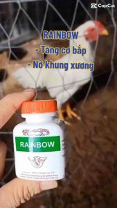 RAINBOW Tăng cơ bắp bổ sung canxi cho gà 100viên [Hàng Chính Hãng 100%]