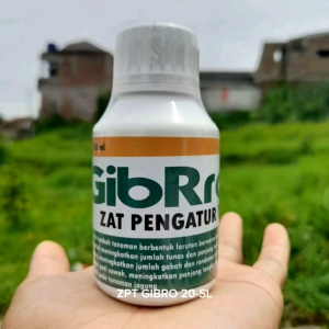 ZPT GIBRO 20-SL  Pupuk Organik Bahan Aktif Asam Gibberellat 20% Zat Pengatur Tumbuh Tanaman Pupuk Tanaman Pestisida Pupuk zpt cair/100ml