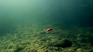 6.5cm/7g Umpan Lure Minnow Slow Sinking Fishing Bait Set Tackle Lure For Fishing Swim Bait Lure Hook Fishing Lure Fishing Accessories-