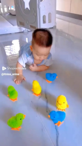 Mainan Anak Ayam Lucu Berjalan