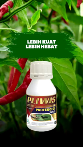 Mahakam Pliwis 525 EC 500 ml Pestisida Insektisida Pembasmi Hama Pada Tanaman Padi