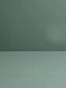 TT070 Chooper Penghancur Bawang Putih Manual/ Mini Chopper model Putar 250ML