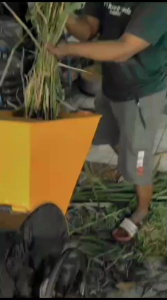 MESIN CACAH RUMPUT G20 MULTIFUNGSI ( SIAP PAKAI DEASEL BENSIN)