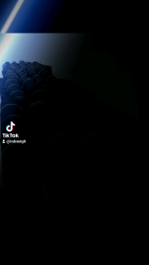 Karpet Kandang Sapi: Pilihan Terbaik untuk Ternak Anda