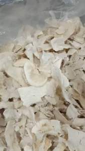 Sâm tố nữ khô thái lát - túi 500gr - tăng cường nội tiet to nữ tăng size vong 1 đẹp da giá tốt