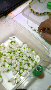 Melati mekar imitasi superbahan siger sundaisi 300 biji500 biji1000 biji