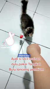 MAINAN KUCING TONGKAT BULU PREMIUM 45CM CAT TEASER CAT TOYS STICK PANJANG 45CM/MAINAN KUCING BULU ANGSA TONGKAT STAINLESS
