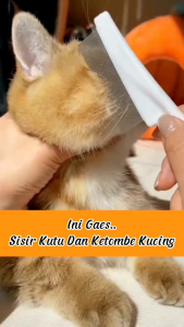 SISIR KUTU HEWAN STAINLESS ANJING KUCING