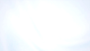 FUREVER365 | KOJIMA Amino Acid Formula Cat Shampoo Dog Shampoo Rambut Gugur Syampu Kutu dan Hama