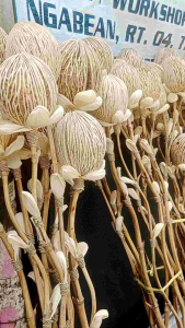 Dekorasi Stik Bunga Kering/Bola Dekorasi/Dekorasi Artificial/Bunga Rustic Artificial Termurah