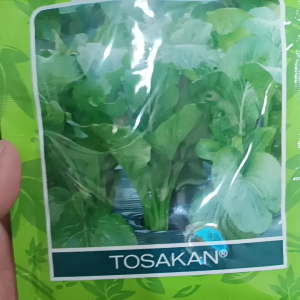 bibit sawi / benih caisim TOSAKAN cap panah merah kebun / sawah palawija / hidroponik