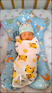 หมอนกันผวาตกใจตื่น จัดท่านอน ถอดซักได้ใช้งานได้ 2 ด้าน (ส่งจากไทย)