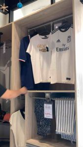 Pull Down Wardrobe Lift (Grey)