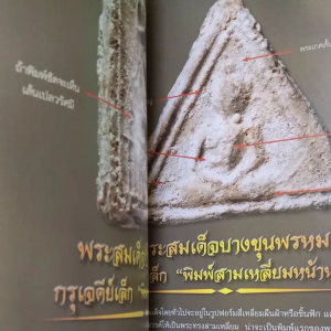หนังสือพระสมเด็จ"องค์ครู"