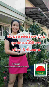 ถุงห่อผลไม้กันแมลง ถุงห่อมะม่วง ถุงห่อฝรั่ง ถุงห่อชมพู่ ถุงห่อผลไม้ แพค 100 ใบ ขนาด 19x30 22x32 และ 24x36 ซม