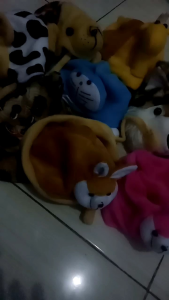 kupluk bayi dan anak singa singaan