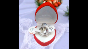 Promo Cincin Titanium Antikarat Perhiasan Permata Zircon Free Kotak Cincin