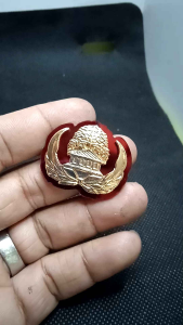 PIN KORPRI DASAR MIKA LENCANA KORPRI