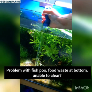 Aquarium Dropper Pipette Quality Remover Water Change Cleaning Aquarium Tank Penyedut Penukar air tank kecil 鱼缸吸便器换水神器吸鱼屎吸水器30ml 50ml Color Random