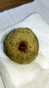 Batu lipan merah nyusuh natural alam