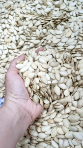 Hạt bí size To thương hiệu Thành Công  hạt bí sạch hạt bí Tết hạt bí rang tay túi 1kg -500gr -date mới