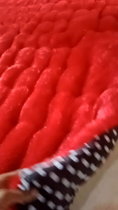 Kasur Lantai Bulu Rasfur free bantal guling Lembut Tebal Motif Karakter