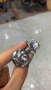 ỐC CHÂN KIẾNG SALAYA REN NGƯỢC REN THUẬN ĐẦU SAO ChÂN 10ly