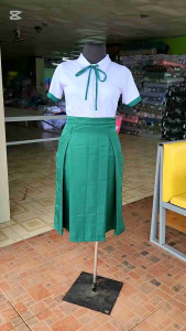 Sports Collar Blouse with Ribiti Peach Twill & Emerald Green Pleats Skirt: Joenel Brand Women's Wear