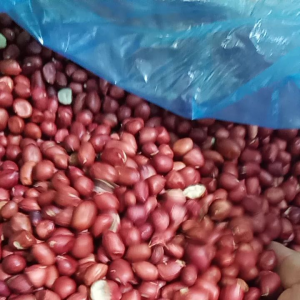 lạc đỏ rang sẵn( lạc quê bóc tay mới mỗi ngày)500g