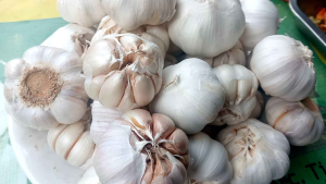 Bawang Putih Honan 1 KG | Honan Segar