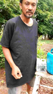 น้ำหมักปลาทะเลชีวภาพ สูตรเข้มข้น (ตราตองสอง) ช่วยกระตุ้นการออกดอก แทงยอดใหม่ เสริมสร้างภูมิคุ้มกันต่อโรค และแมลง เพิ่มความสมดุลให้กับพืช และช่วยให้พืชดูดซึมธาตุอาหารจากดินได้มากยิ่งขึ้น