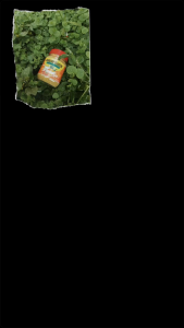 MINUMAN RIMPANG JSR RAMUAN SEHATIN MERINGANKAN GEJALA MAAG (Paket 2 Botol) ||PS|| JSR ULTIMATE||