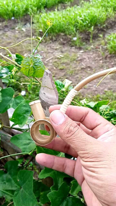 Pipa Cangklong Bambu Model Popay Antik