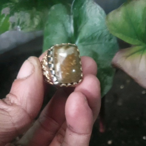 Batu Akik Brown Oval batu garut jabar