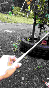 Arit berkebun rumput liar gagang model kepala burung