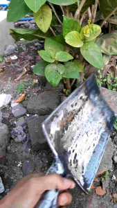 Sekrup Baja untuk Gali Tanah Sawah Saluran Air