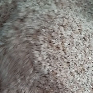 รำข้าวสาลี5กิโล