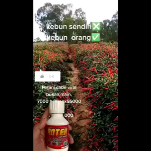 PUPUK ANTEK ANTI PATEK ANTI KERITING DAUN BERGARANSI (isi 100ml/1liter)